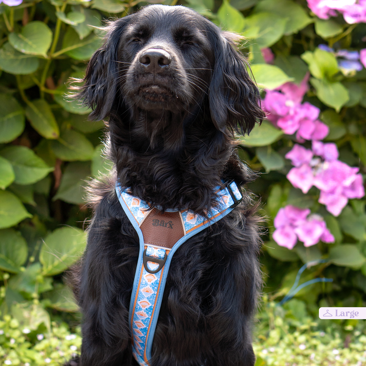 Adventure Air Harness | Hope Harbor – Barx Dogs