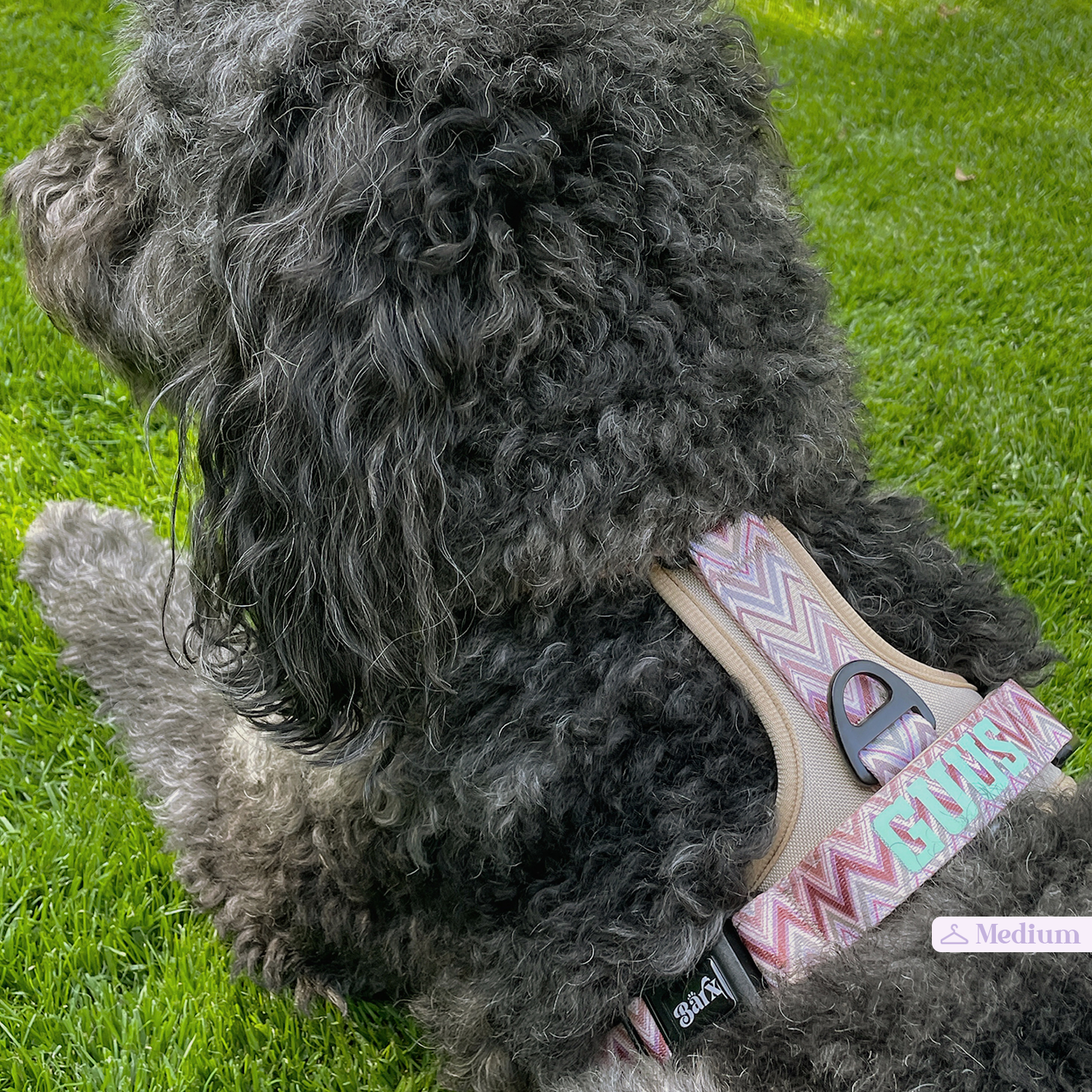 Adventure Air Harness | Missoni – Barx Dogs