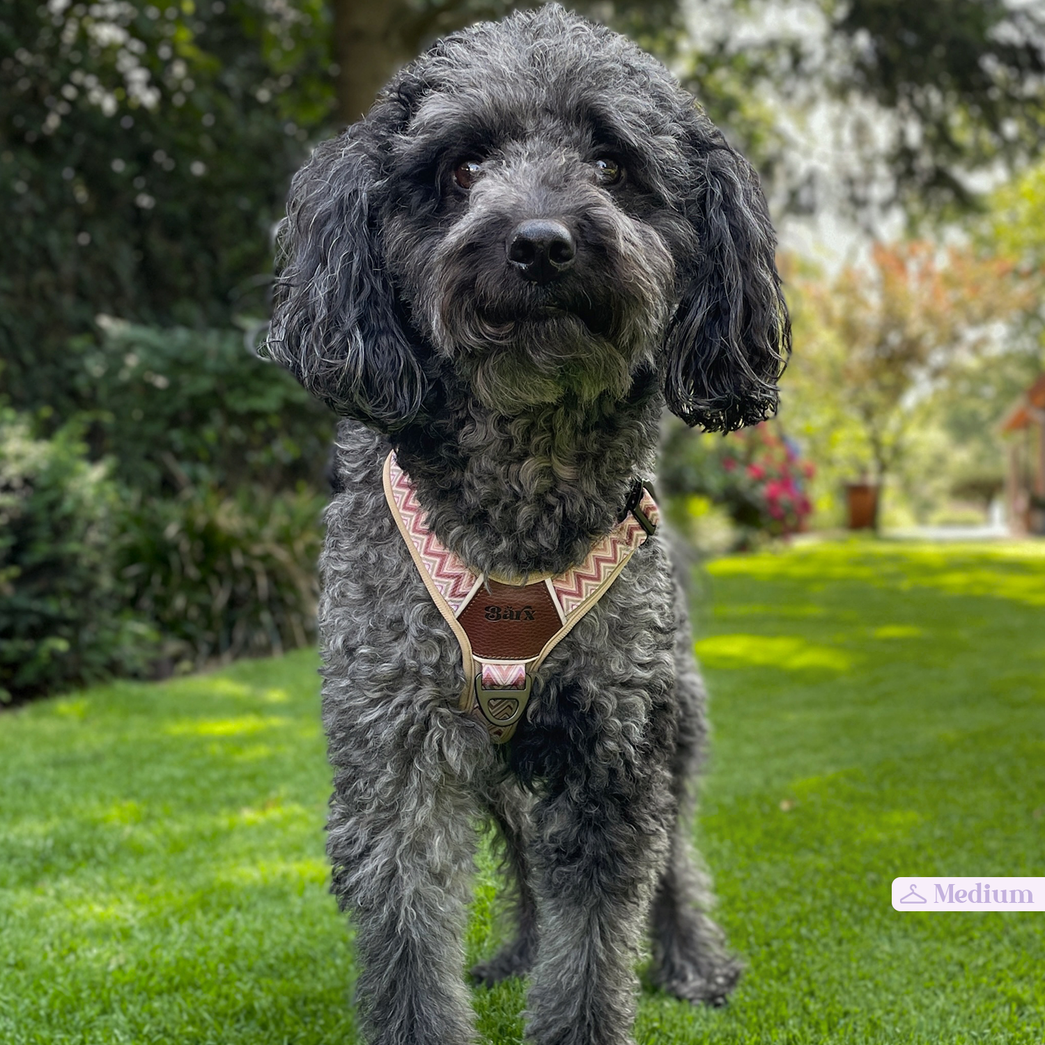 Adventure Air Harness | Missoni – Barx Dogs