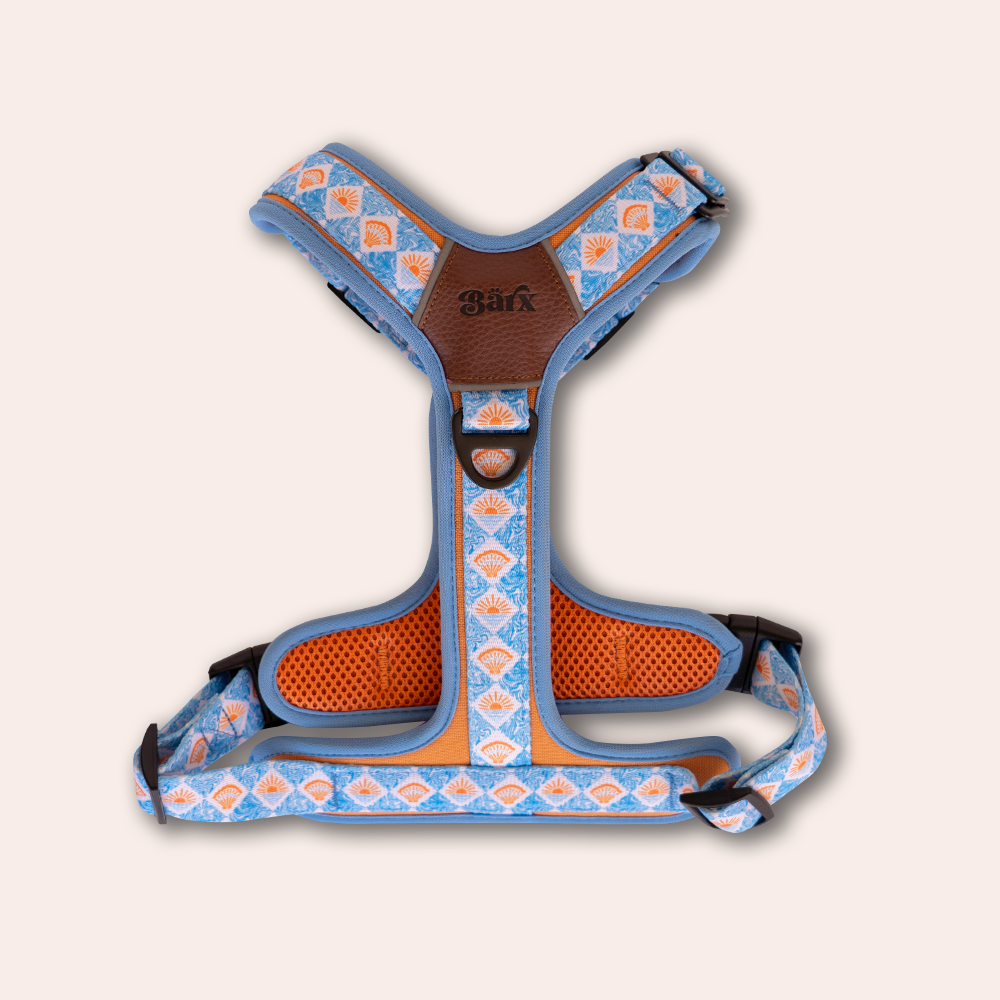 Adventure Air Harness | Hope Harbor – Barx Dogs