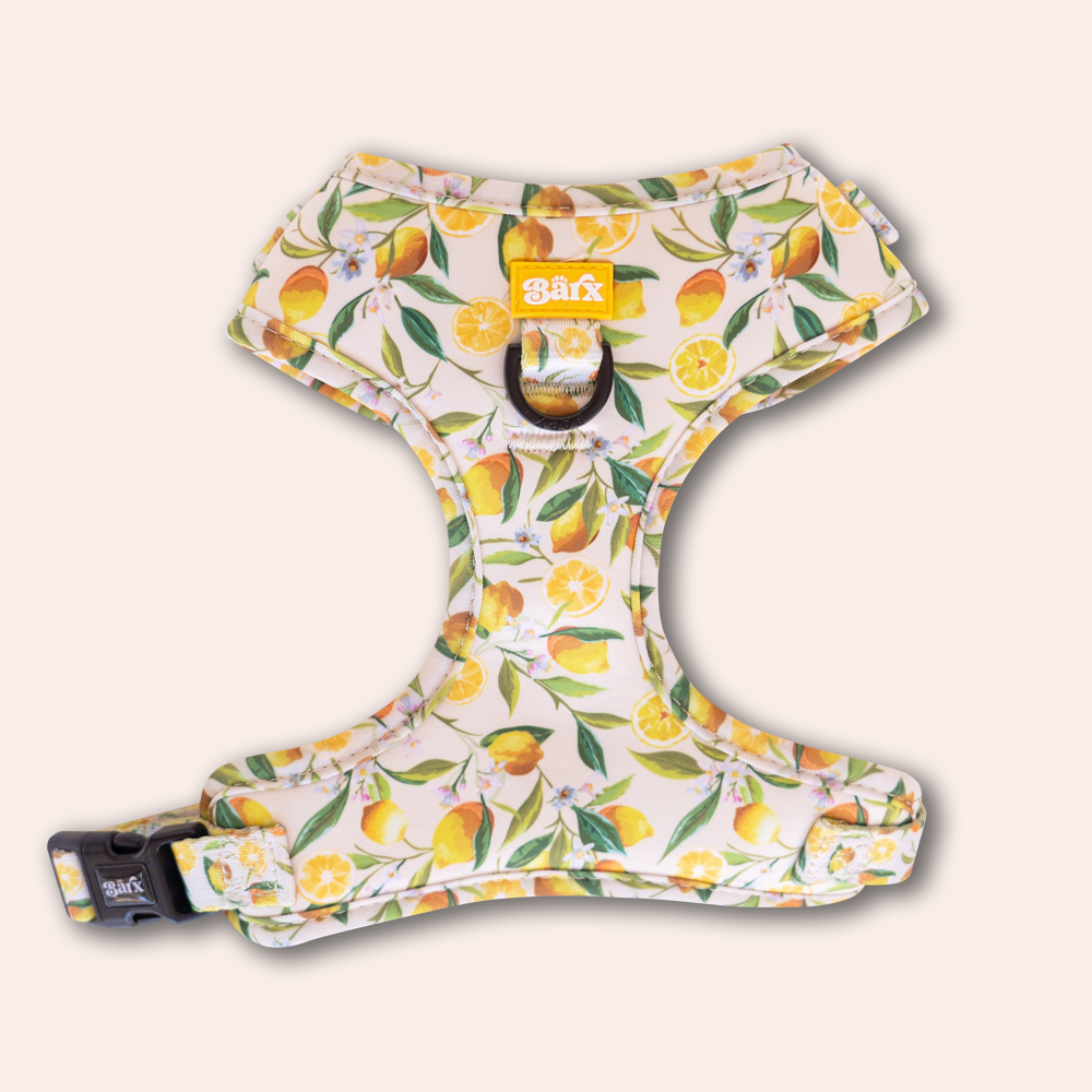 Adjustable Harness | Limoncello – Barx Dogs
