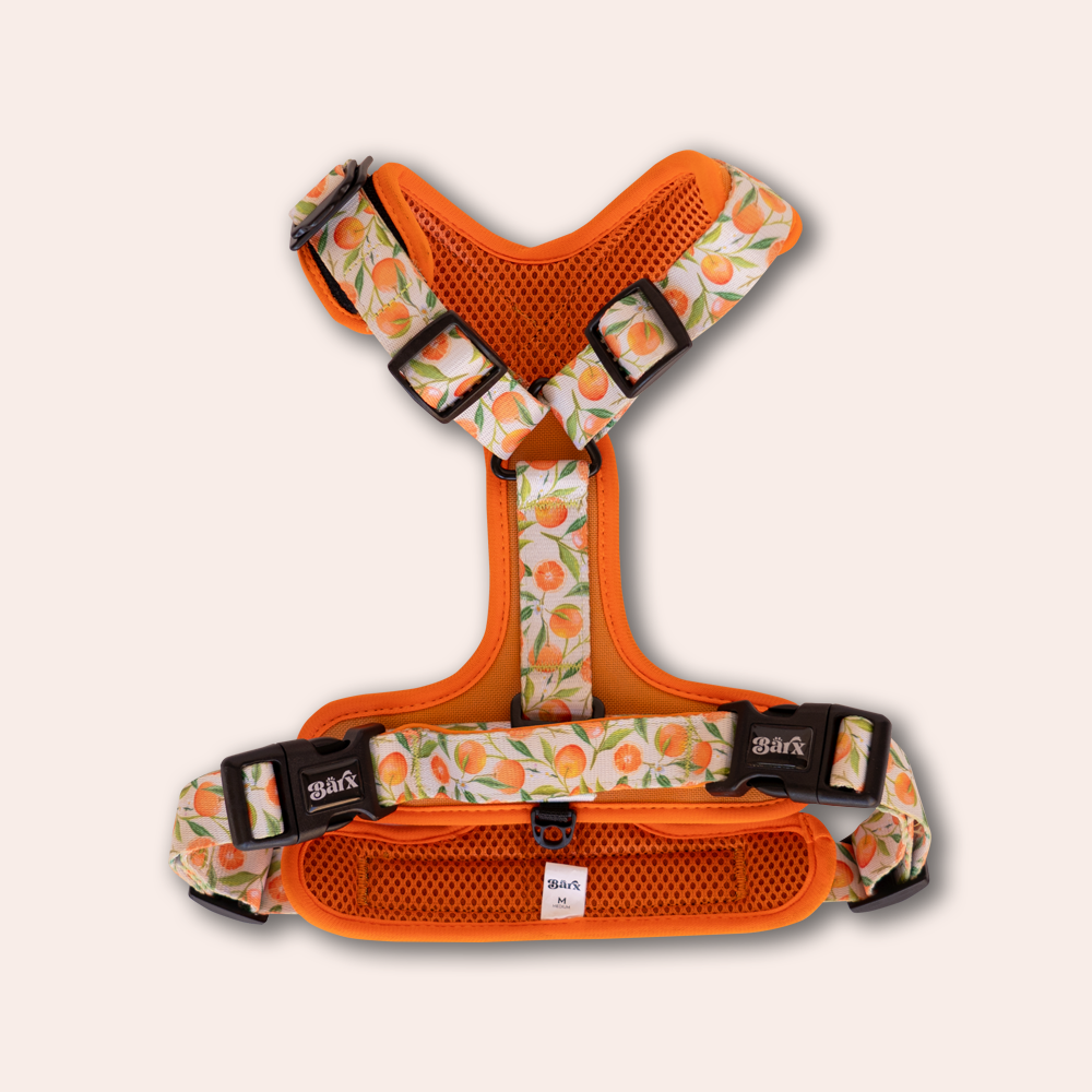 Adventure Air Harness | Orancello – Barx Dogs