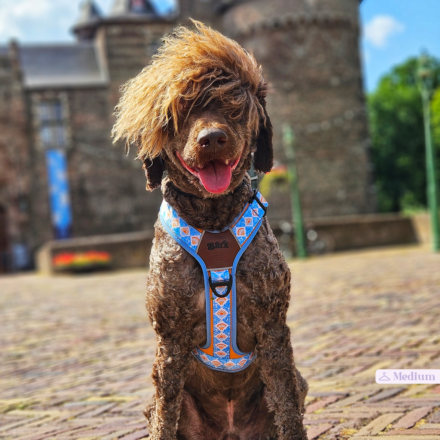 Adventure Air Harness | Hope Harbor – Barx Dogs
